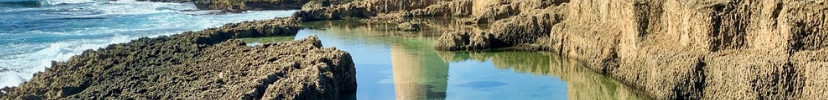 traghetto civitavecchia arbatax